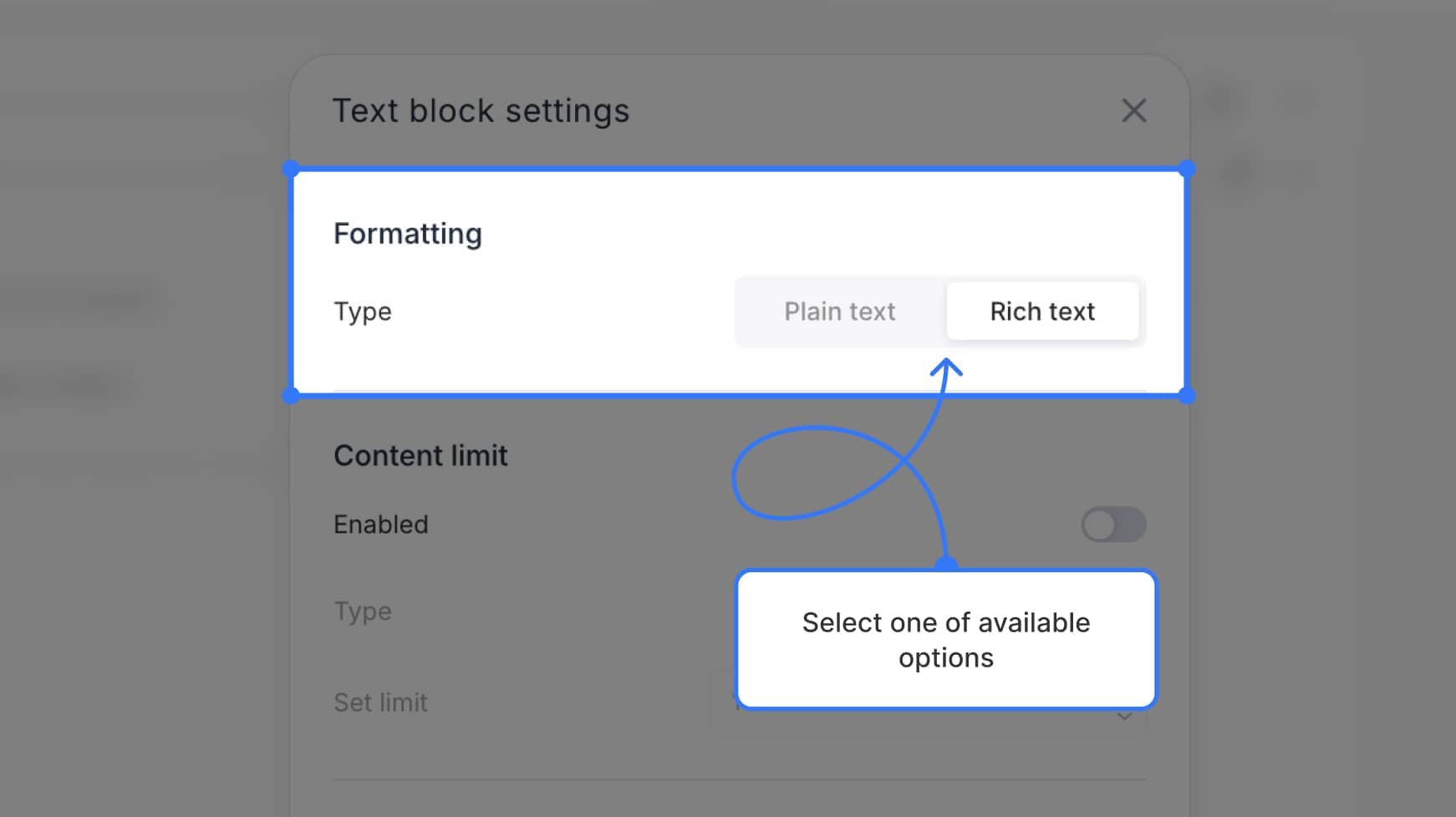 Formatting selector with Rich and Plain tabs