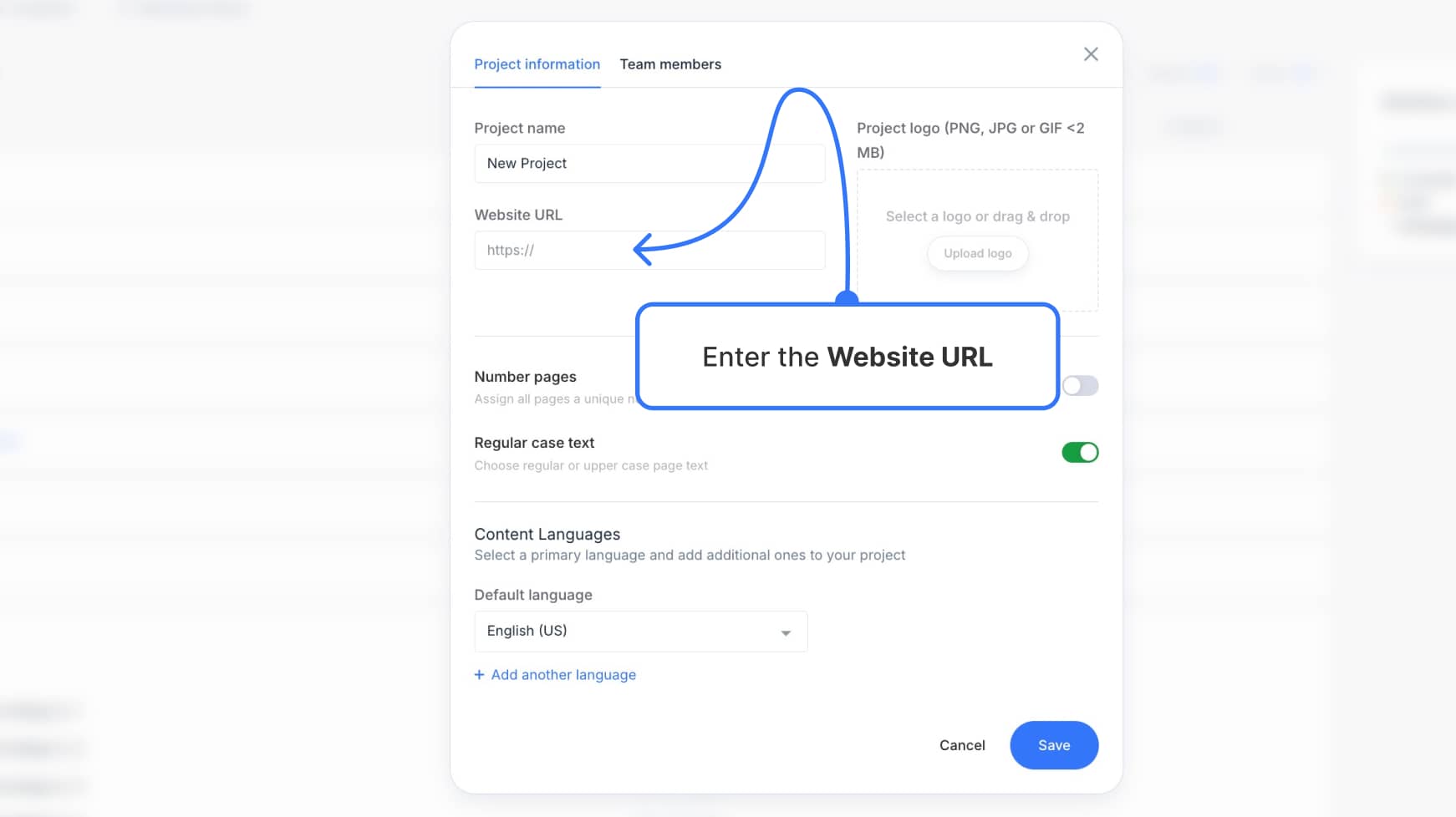 Website URL field in project settings modal