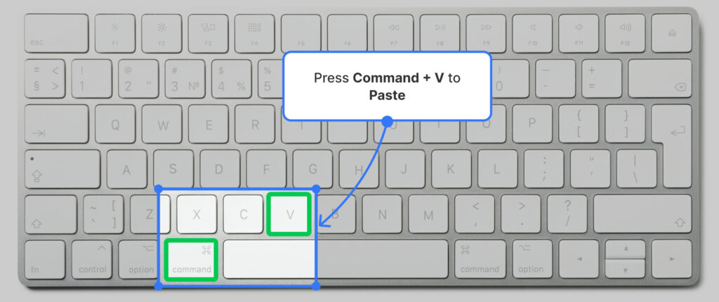 Copy and Paste Diagram Shapes | Slickplan
