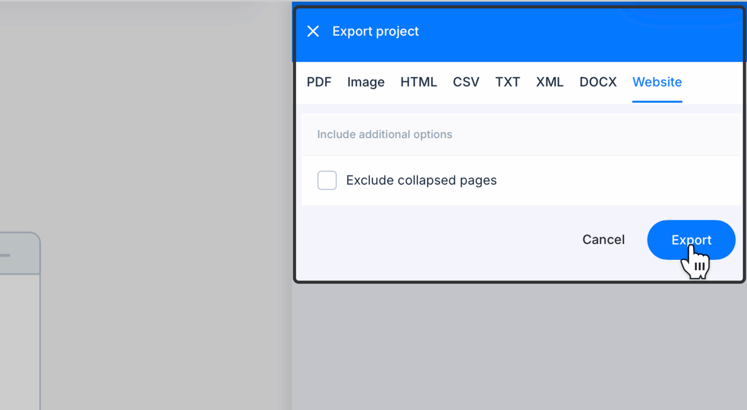 export button hoever on website export tab scaled