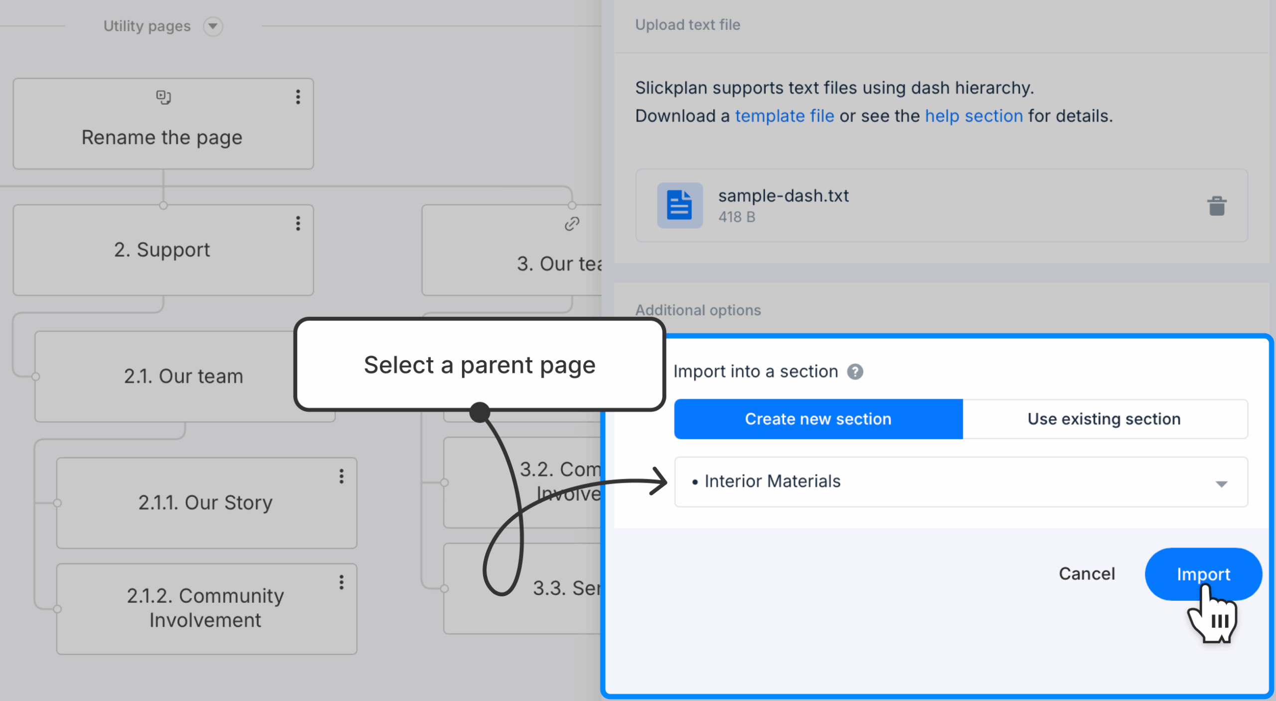 A section parent page highlighted on a text file import window