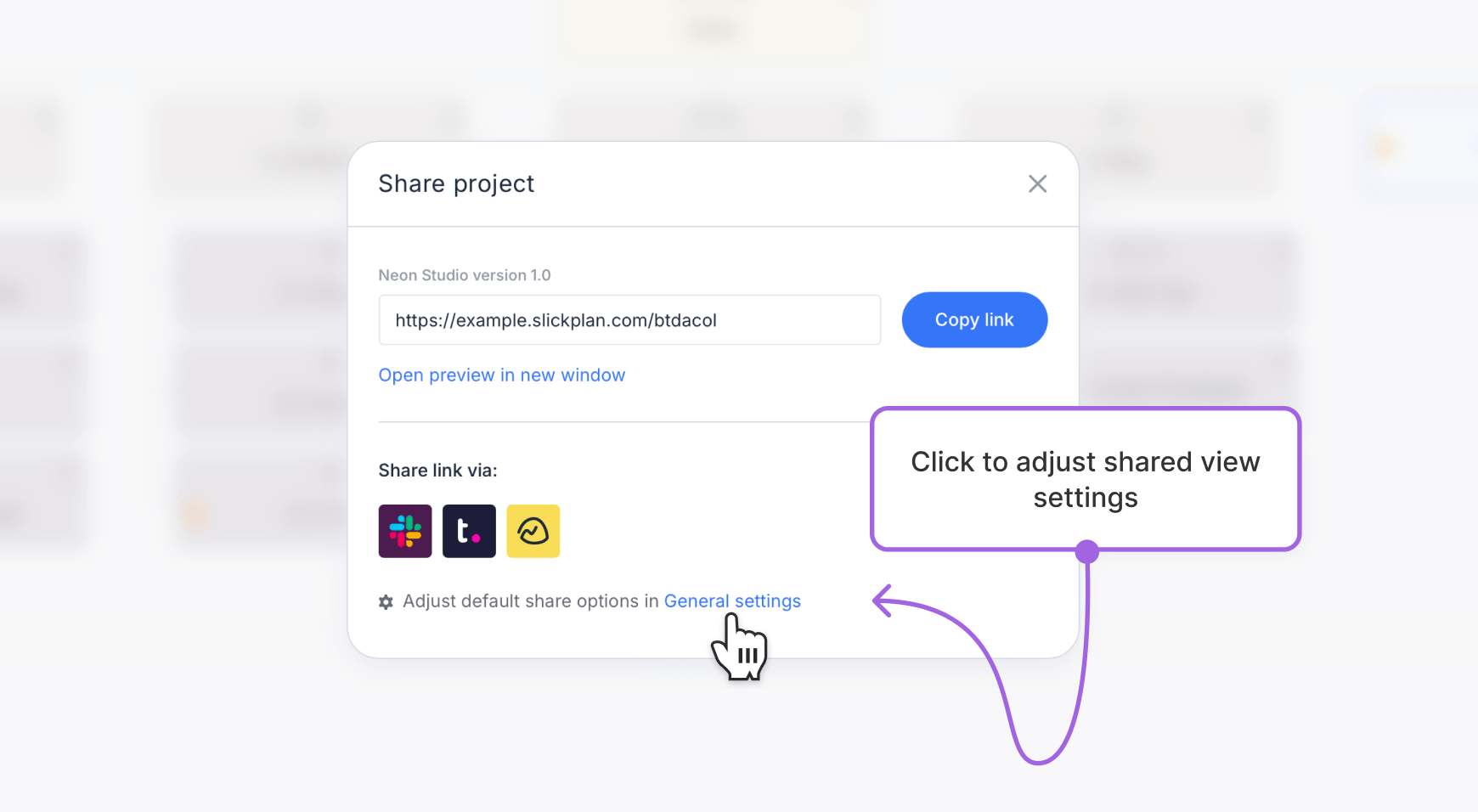 A Share Project modal window zoomed in with all sharing options visible
